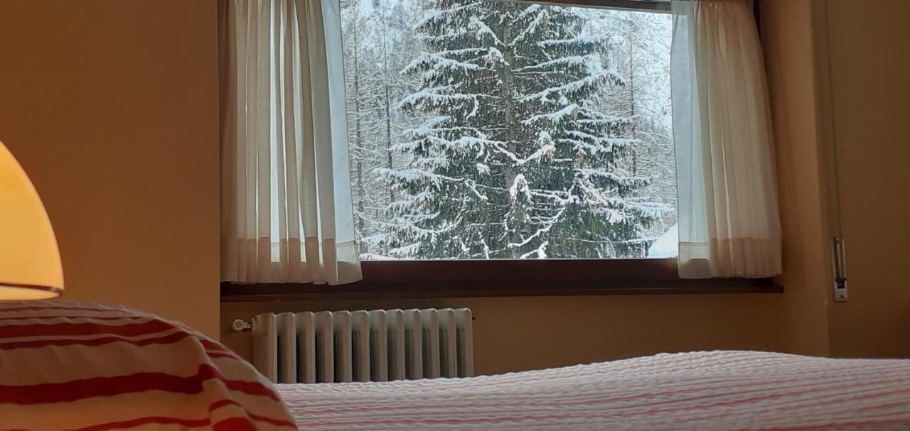 Hotel Cristallo Macugnaga Zewnętrze zdjęcie